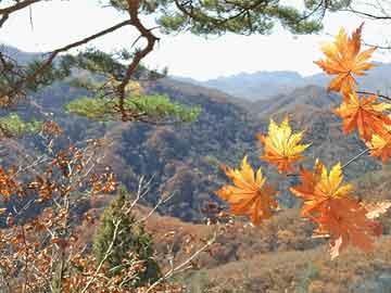 2024年11月30日